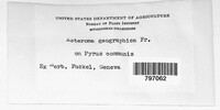 Image Associated With the Occurence